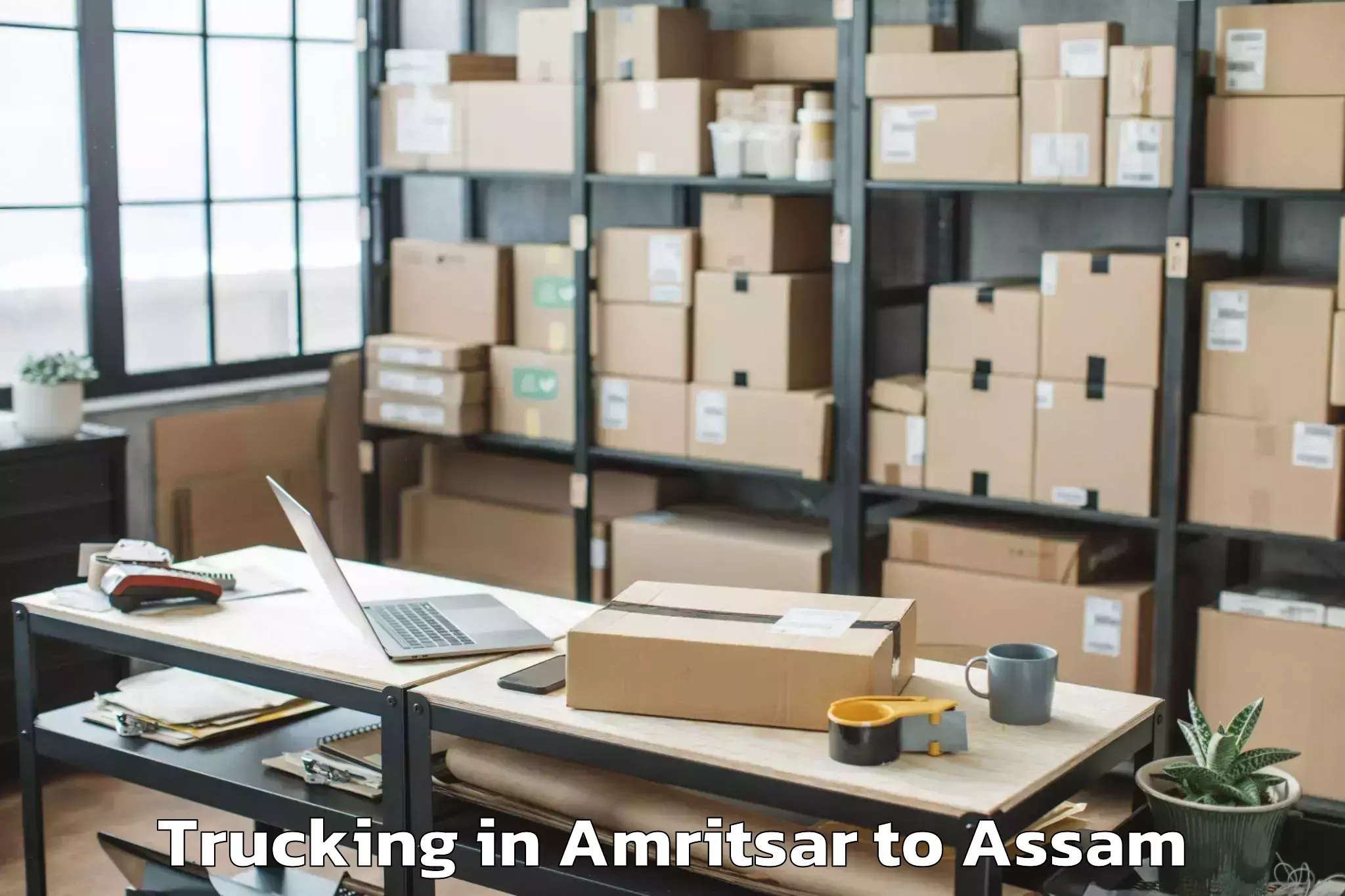 Book Amritsar to Dhakuakhana Pt Trucking Online